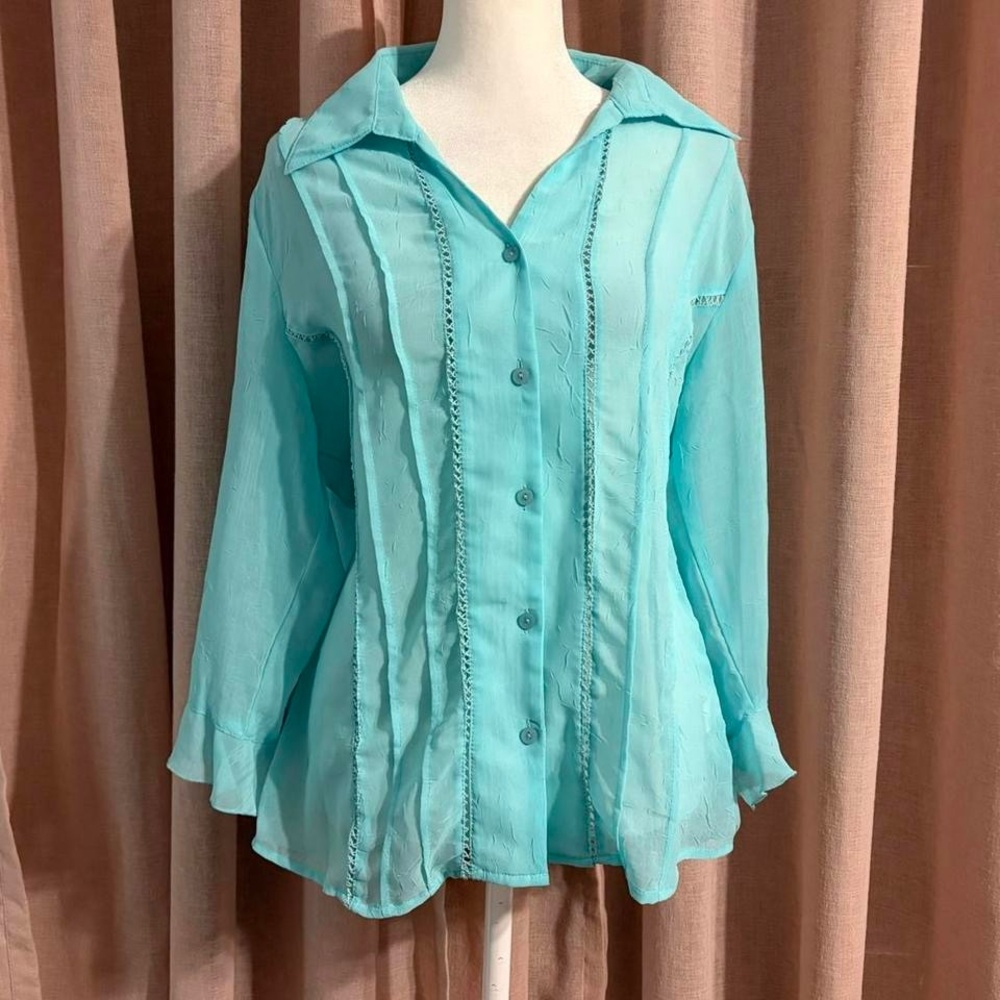 Dressbarn Sheer Crinkle Button Up blouse